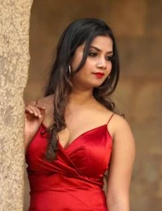 call girl service in Wallajah